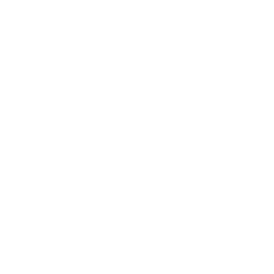 Academia de Jiu-Jitsu Essence Logo